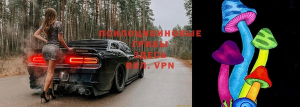 бошки Алексеевка